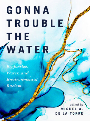 cover image of Gonna Trouble the Water